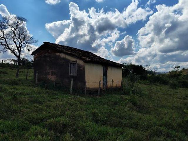 Sítio muito bom para gado,milho etc.