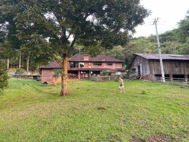 Sitio na Cidade de Taquara divisa com Igrejinha/RS Localidade de Picada Francesa