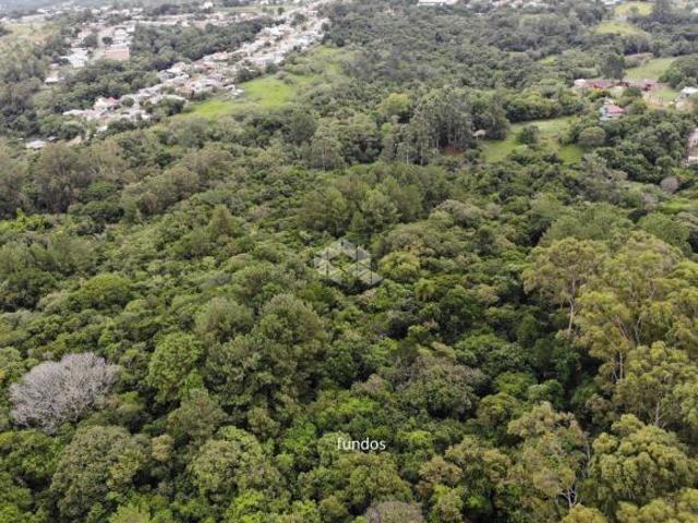 Sítio na Estrada da Branquinha com 6,7 hectares