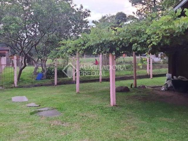 Sitio no bairro Lami