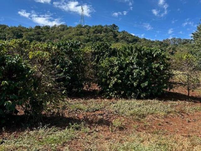 SÍTIO NO PAIOLZINHO RODOVIA PARA CLARAVAL Á VENDA