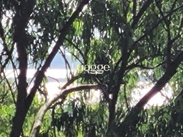 Sítio no Parque Florestal em Itapuã de 3.930 m² em Viamão
