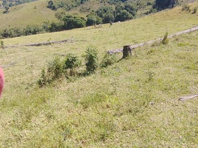Sítio ótimo para boi,pecuária,casa sede,casa de caseiro