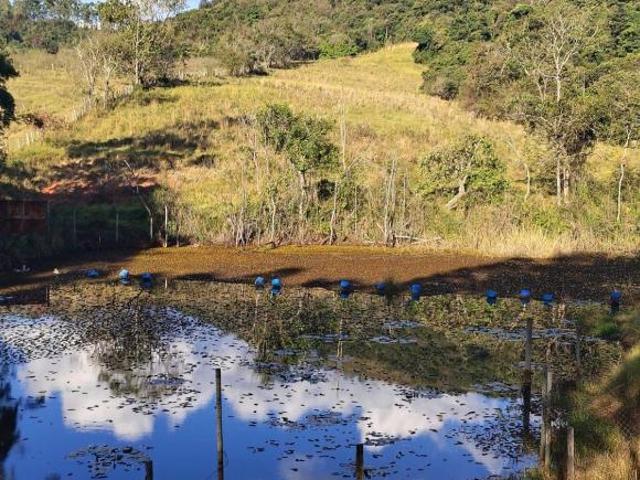 Sítio para gado,lazer,represa.