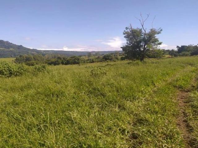 Sítio para plantio