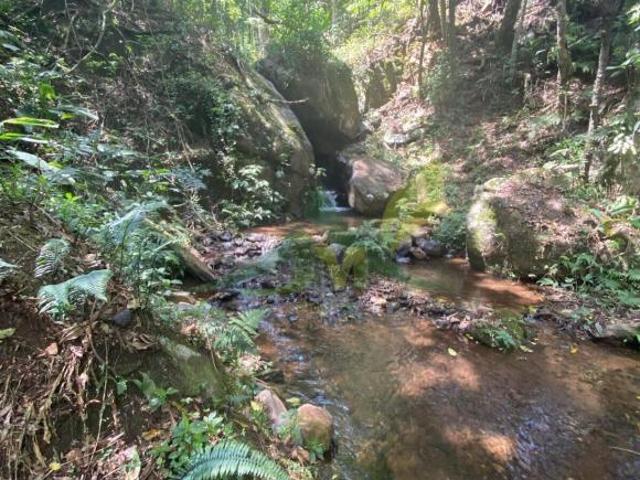 Sítio para venda e aluguel em Centro, Piracaia