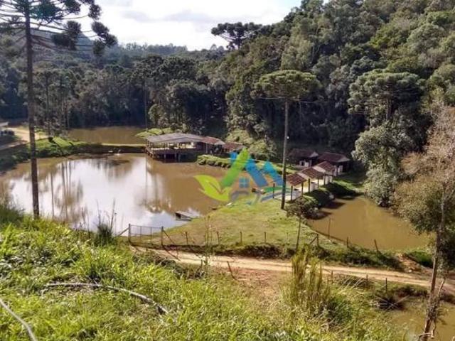 Sítio para venda em Mandirituba