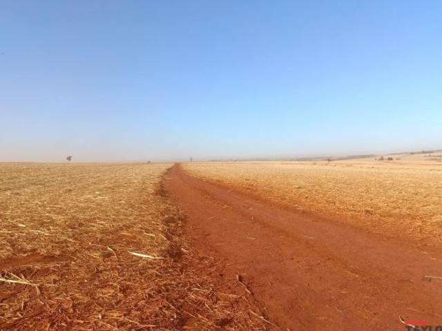 Sítio para Venda em Miguelópolis, RURAL