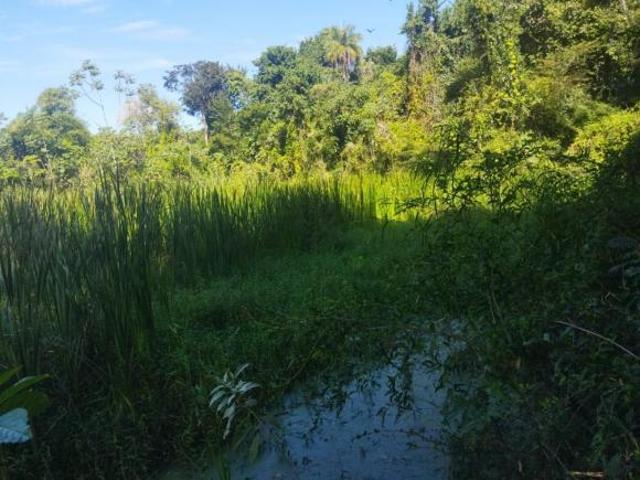 Sítio para Venda em Mococa, RURAL