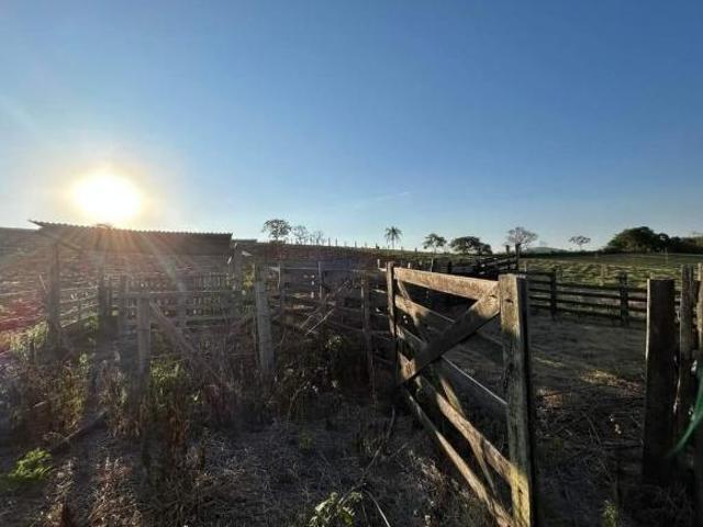 Sítio para Venda em Monte Alegre do Sul, ZONA RURAL, 4 dormitórios, 2 suítes, 4 banheiros, 7 vagas