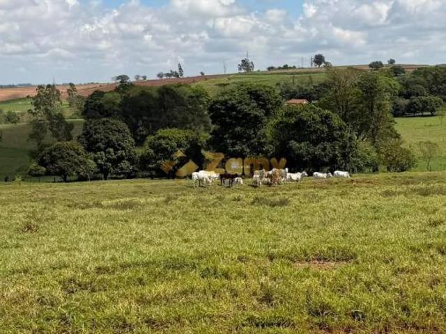 Sítio para venda em Nova Esperança