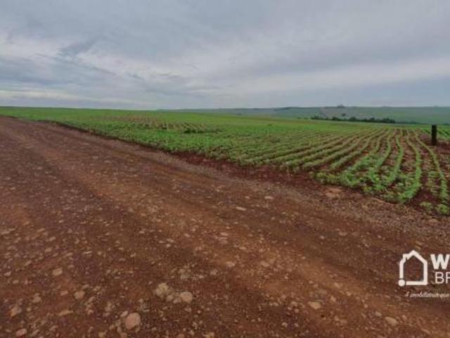 Sítio para venda em Ourizona