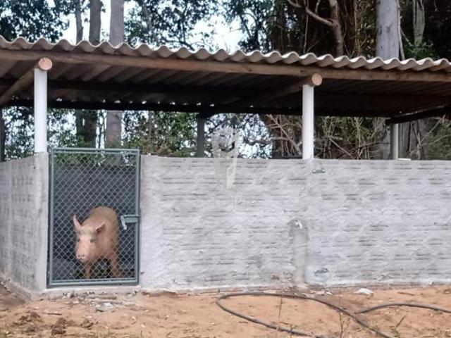 Sítio para venda em Avaré