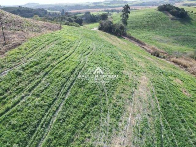 Sítio para venda em Alvorada, Marmeleiro