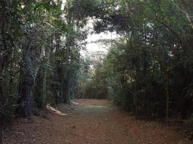 Sítio para venda em Angatuba