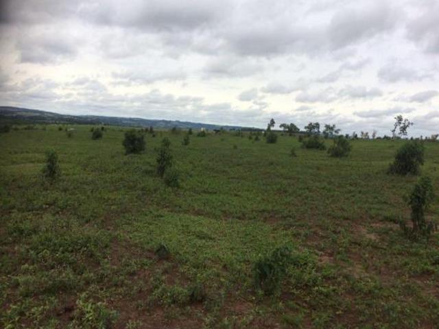 Sítio para venda em Angatuba