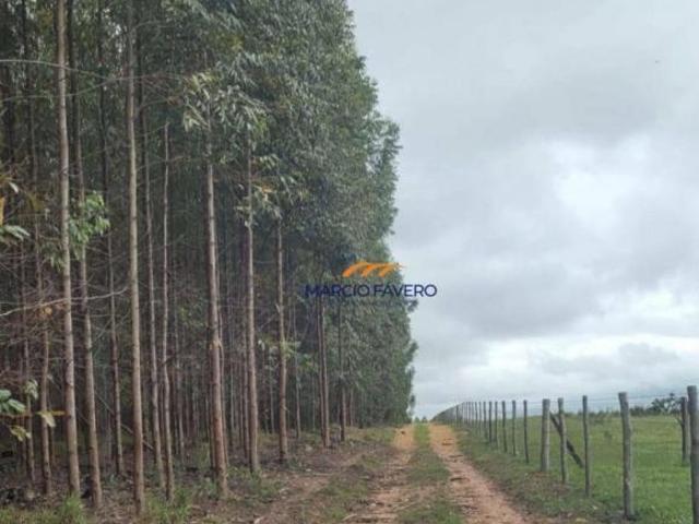 Sítio para venda em Anhembi