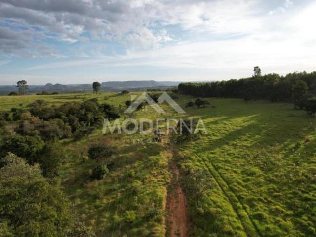 Sítio para Venda em Anhembi, Area Rural