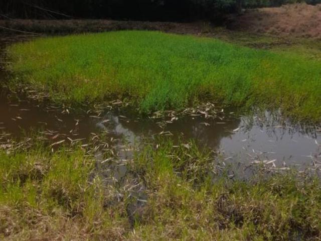Sítio para Venda em Arceburgo, RURAL