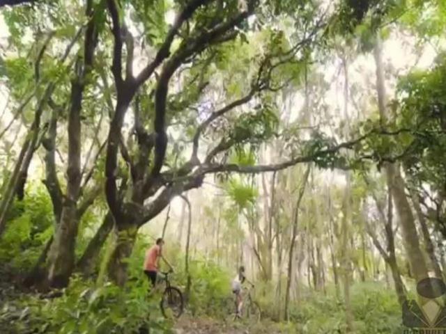 Sítio para venda em Aranha, Brumadinho