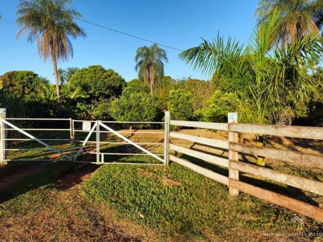 Sítio para venda em Área Rural de Campo Grande, Campo Grande
