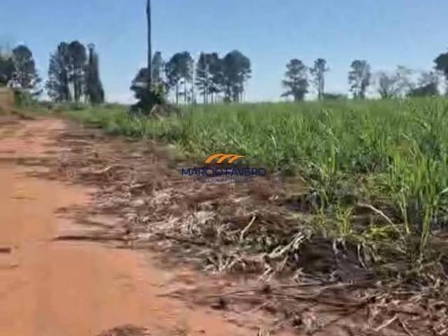 Sítio para venda em Área Rural de Casa Branca, Casa Branca