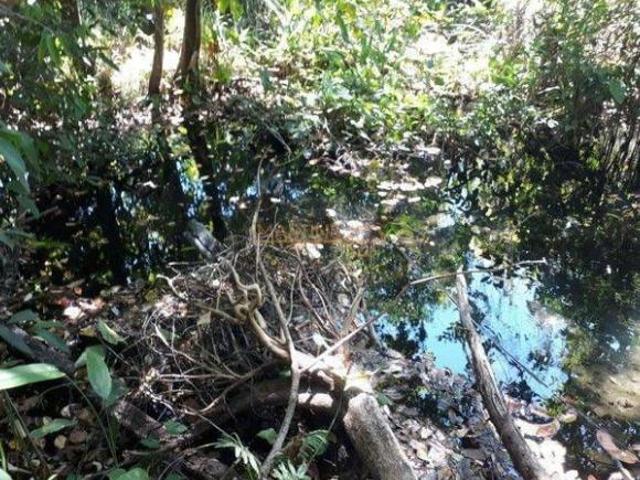 Sítio para venda em Área Rural de Araguari, Araguari