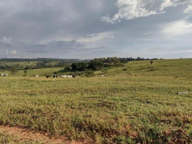 Sítio para venda em Área Rural de Avaí, Avaí