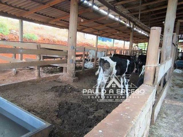Sítio para venda em Área Rural de Dois Vizinhos, Dois Vizinh