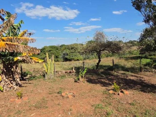 Sítio para venda em Área Rural de Fernandópolis, Fernandópol