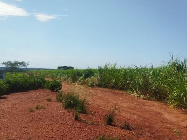 Sítio para venda em Área Rural de Frutal, Frutal