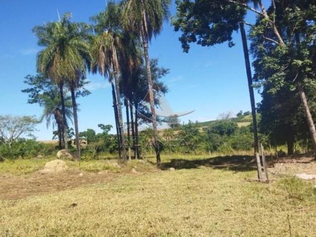Sítio para venda em Área Rural de Mococa, Mococa
