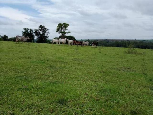 Sítio para venda em Área Rural de Santa Cruz da Conceição, S