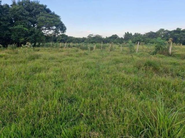 Sítio para venda em Área Rural de Pereiras, Pereiras