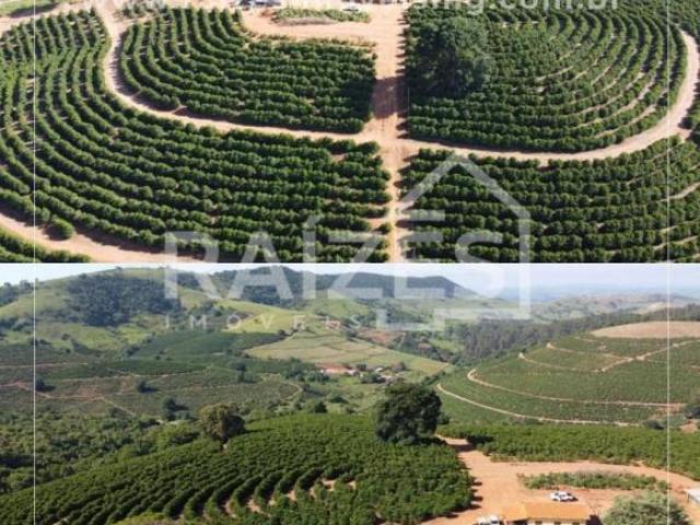 Sítio para venda em Área Rural de Três Pontas, Três Pontas