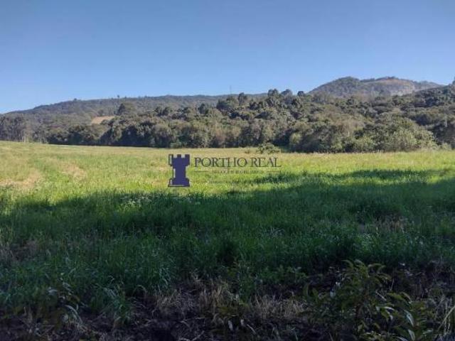 Sítio para venda em Bugre, Balsa Nova