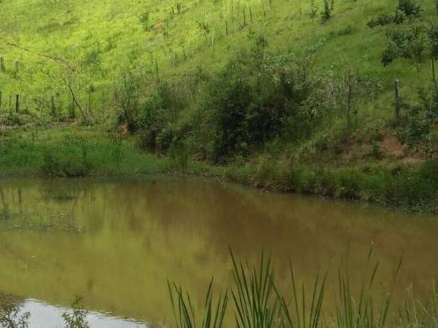 Sítio para venda em Cunha