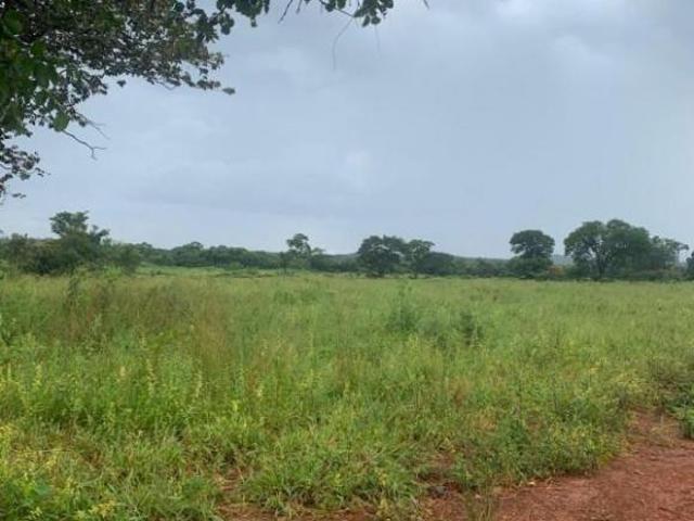 Sítio para venda em Curvelo