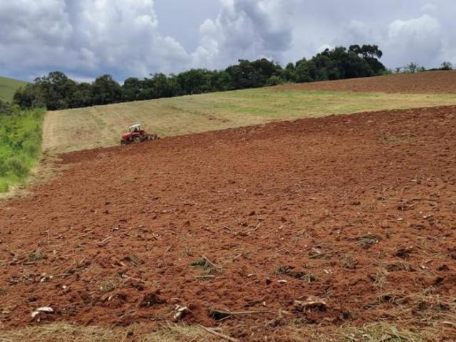 Sítio para venda em Caldas