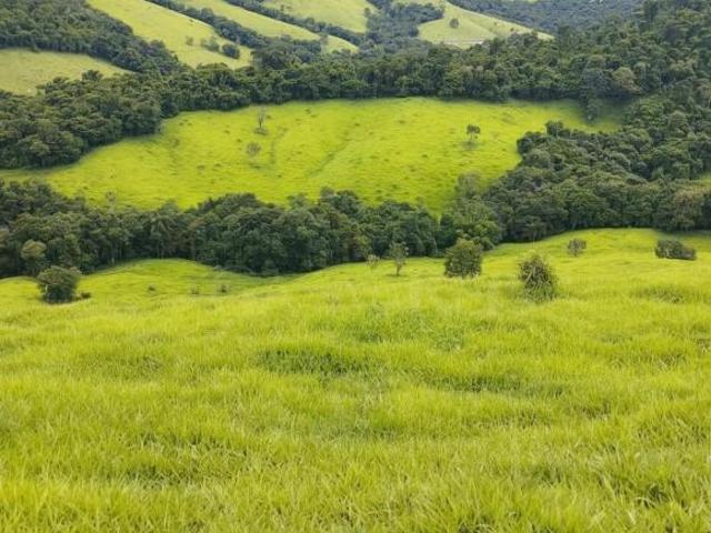 Sítio para venda em Caldas