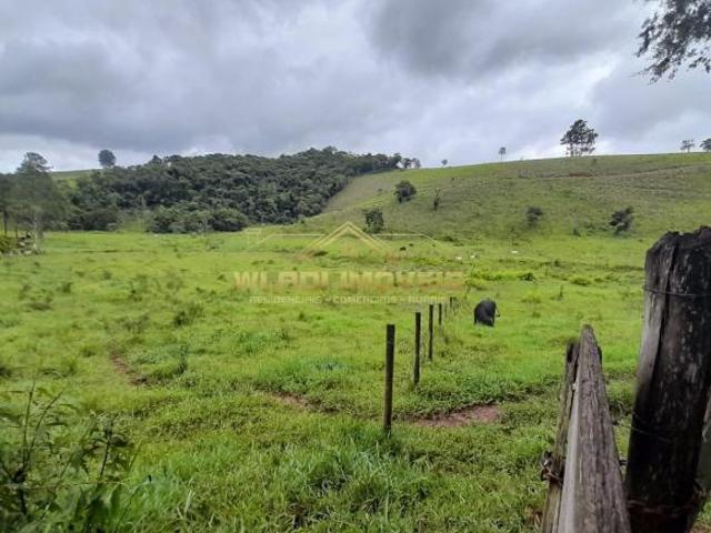 Sítio para Venda em Cambuí, rural
