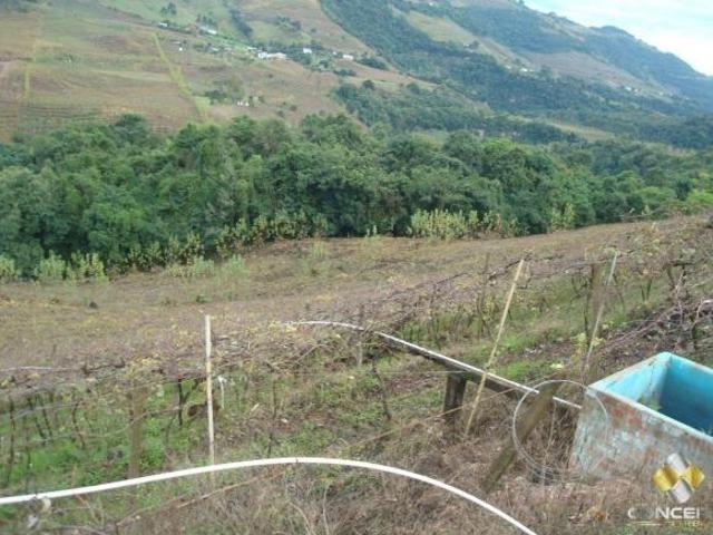 Sítio para venda em Caminho da Eulália, Bento Gonçalves