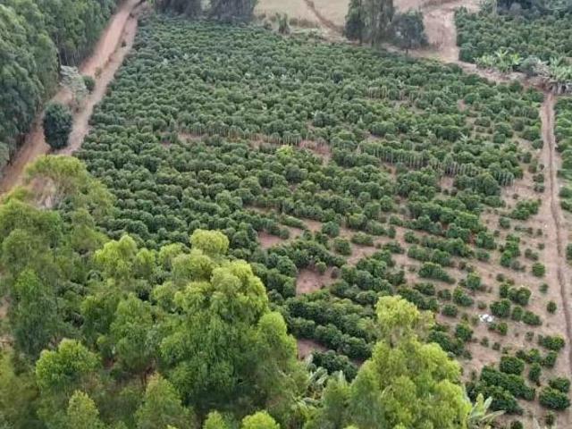 Sítio para venda em Campestre