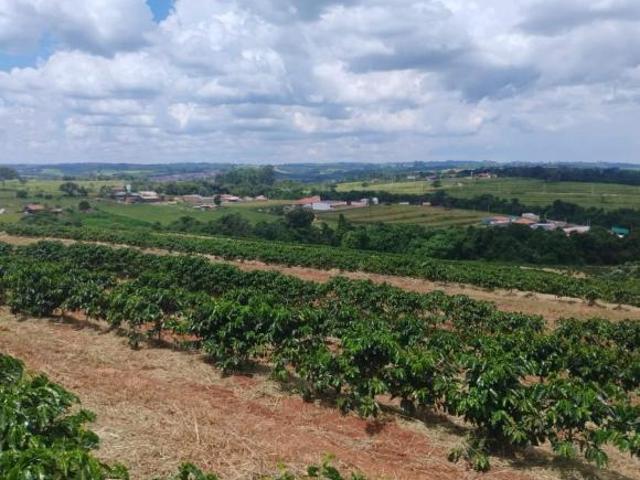 Sítio para Venda em Cássia dos Coqueiros, RURAL