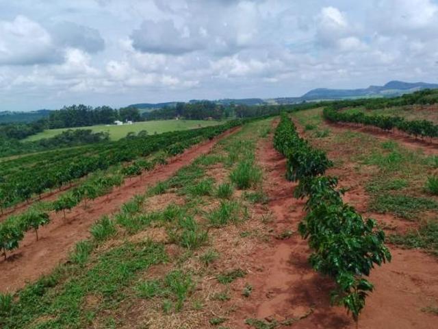 Sítio para Venda em Cássia dos Coqueiros, RURAL