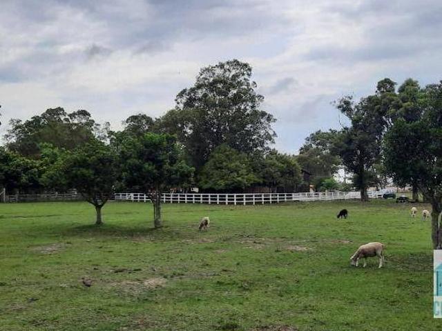Sítio para venda em Capivari do Sul