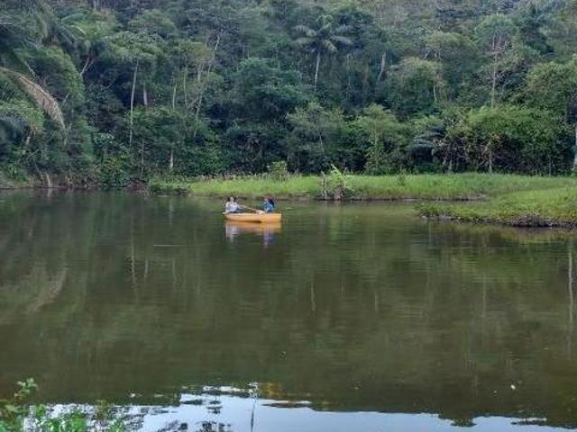 Sítio para venda em Centro, Tapiraí