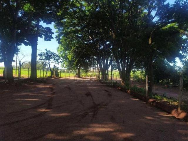 Sítio para venda em Centro, Taquaritinga