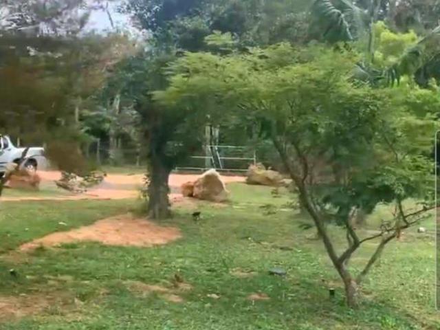 Sítio para venda em Centro, Torres