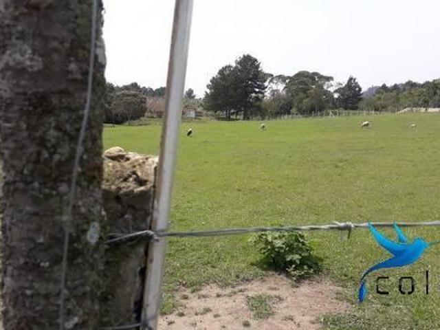 Sítio para venda em Centro, Agudos do Sul